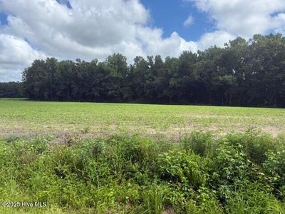 /international/us/0-near-403-flynn-cemet-road-whiteville-nc-110101192496/