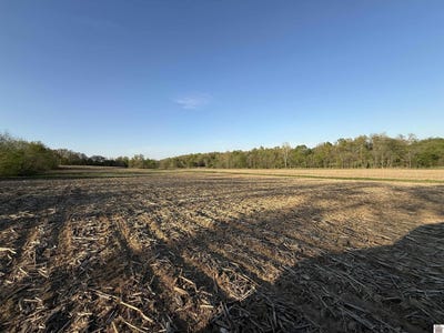 /international/us/carter-road-mayfield-ky-110107211084/