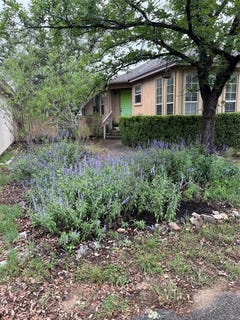/international/us/16-e-villa-meadow-st-wimberley-tx-110120115138/