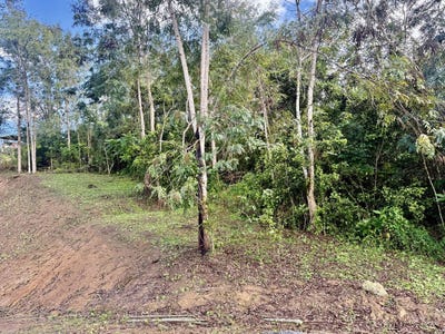 /international/pr/ave-praderas-pl-bo-rincon-lomas-cayey-cayey-110106150261/