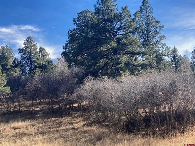 /international/us/155-pronghorn-lane-ridgway-co-110088582148/