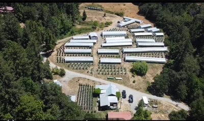 /international/us/35082-alderpoint-road-blocksburg-ca-110101258367/