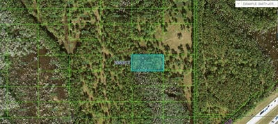 /international/us/n-a-polk-city-fl-110094195683/?lang=en