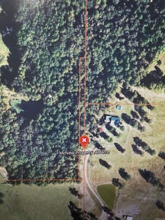 /international/us/bennett-road-bee-branch-ar-110119723145/