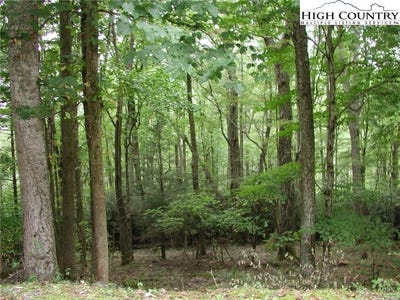 /international/us/lost-ridge-trail-lot-27-vilas-nc-110094516680/