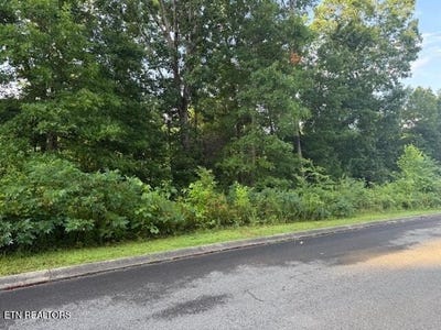 /international/us/lot-17-woodland-creek-drive-dandridge-tn-110100587925/?lang=zh-cn