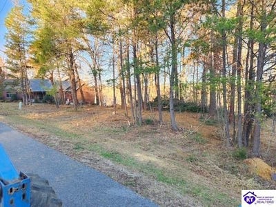 /international/us/609-paulette-way-falls-of-rough-ky-110105735386/