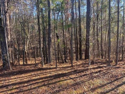 /international/us/0-colonial-lane-mc-cormick-sc-110100244518/?lang=pt