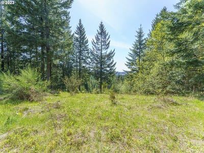 /international/us/25308-nw-mountain-dr-banks-or-110099965323/