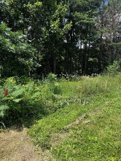 /international/us/0-lot-38-turkey-ridge-road-wellington-ky-110101076218/?lang=zh-cn