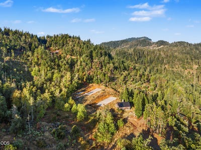 /international/us/300-shanks-creek-road-wolf-creek-or-110110194204/