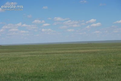 /international/us/blasingame-road-ramah-co-110108346683/