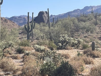 /international/us/0-n-elephant-butte-road-queen-valley-az-110098248357/?lang=zh-tw