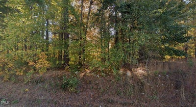 /international/us/jimmie-kerr-road-haw-river-nc-110120512693/