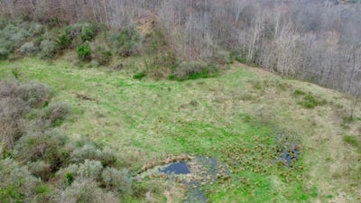 /international/us/3800a-butcher-hollow-rd-van-lear-ky-110106800819/