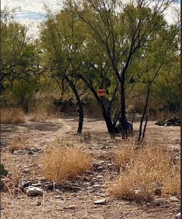 /international/us/3054-rosita-valley-rd-eagle-pass-tx-110096063135/