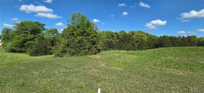 /international/us/22069-county-road-249-pittsburg-mo-110107604378/