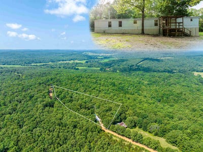 /international/us/67-sunset-lane-williford-ar-110108678176/