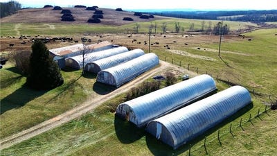 /international/us/8660-austin-traphill-road-traphill-nc-110105509737/