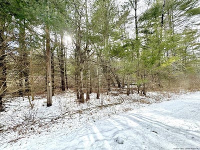 /international/us/547-glenford-wittenberg-road-bearsville-ny-110090184923/?lang=zh-tw