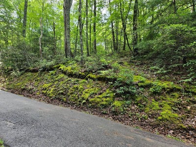 /international/us/lot-1006-n-school-house-gap-rd-sevierville-tn-110101466655/?lang=zh-cn