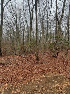 /international/us/260-old-mill-road-saint-james-ny-110099121275/