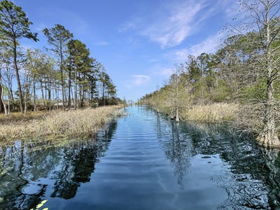/international/us/1420-pinopolis-road-moncks-corner-sc-110105777604/