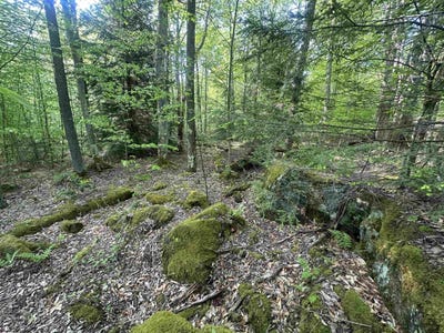/international/us/tuscan-ridge-road-lot-4-davis-wv-110108233696/