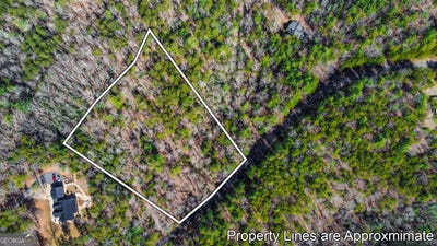 /international/us/lot-9-east-ridge-lane-ellijay-ga-110101407822/?lang=zh-cn