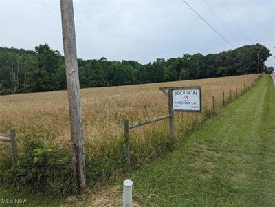 /international/us/2070-riggle-road-bellville-oh-110100852328/