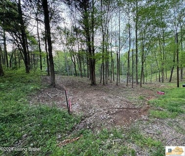 /international/us/lot-45a-walleye-way-scottsville-ky-110100150469/?lang=zh-cn