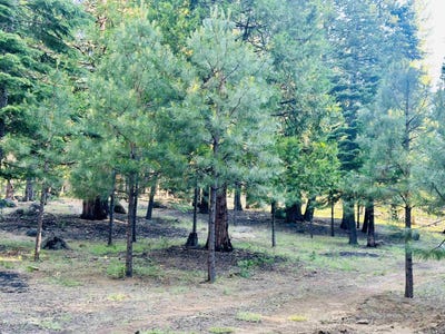 /international/us/275-osprey-loop-lot-13-lake-almanor-west-ca-110107229945/