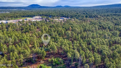 /international/us/212-56-060d-lakeside-az-110107244562/