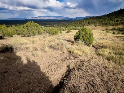 /international/us/tbd-road-35-mancos-co-110101339386/?lang=zh-tw