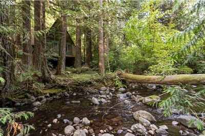 /international/us/47100-se-pheasant-meadow-rd-sandy-or-110120005153/