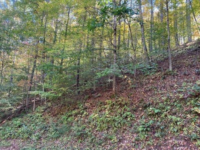 /international/us/175-canaan-road-butler-tn-110100852801/?lang=zh-tw