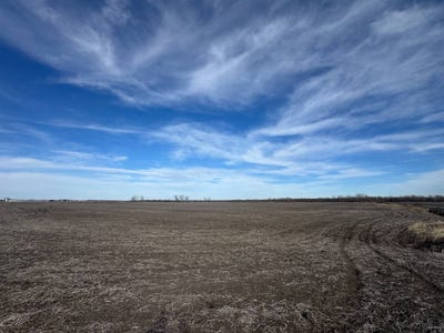 /international/us/tbd-holt-220-bigelow-mo-110105275282/