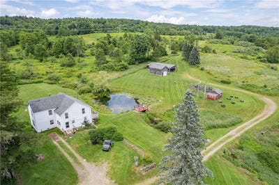 /international/us/2690-freer-hollow-road-franklin-ny-110100764718/