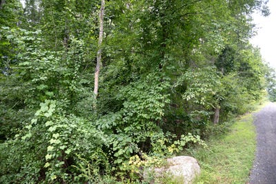 /international/us/86-pine-orchard-road-branford-ct-110094257413/