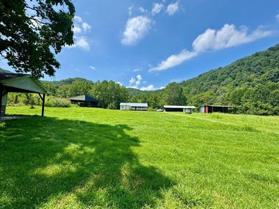 /international/us/179-cow-lane-arnoldsburg-wv-110108364339/