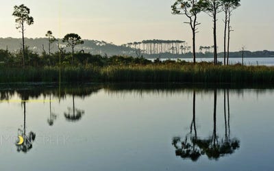 /international/us/wilderness-way-lot-8-santa-rosa-beach-fl-110106496729/