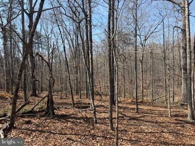 /international/us/countryside-lane-lot-4-lignum-va-110107876610/