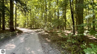 /international/us/langs-lane-interlochen-mi-110119956005/