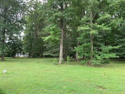 /international/us/benjamin-alley-lot-102-irvington-va-110093758986/