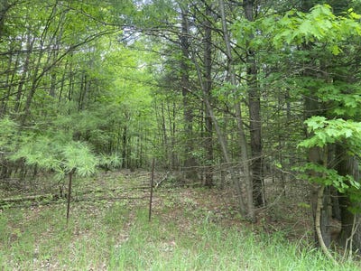 /international/us/s-poor-farm-rd-harrisville-mi-110100070048/?lang=zh-tw