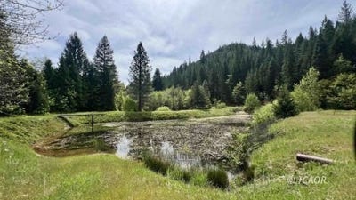 /international/us/791-rancheria-creek-rd-trinity-center-ca-110107999425/
