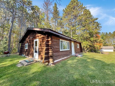 /international/us/113-120-lohrey-lane-crystal-falls-mi-110108300426/