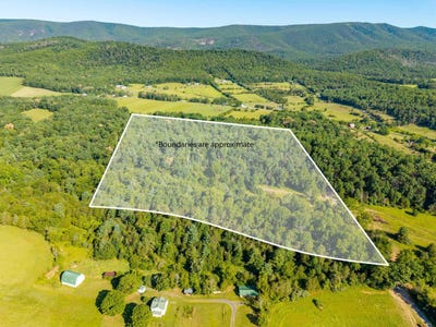/international/us/parcel-a-alum-springs-rd-edinburg-va-110109693925/