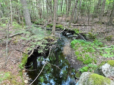 /international/us/madagascal-pond-road-lot-18-2-burlington-me-110109497434/