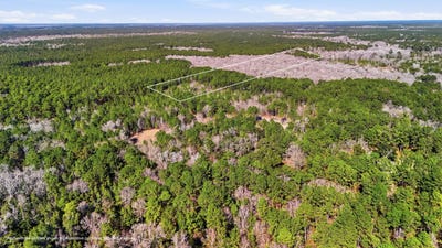 /international/us/gertie-lane-cordesville-sc-110120530551/